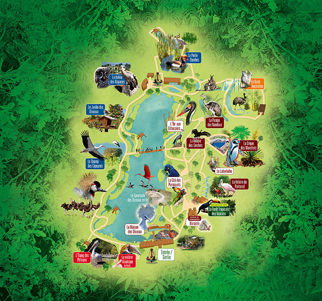 Illustration numérique et montage photo - Annonceur : LE PARC DES OISEAUX