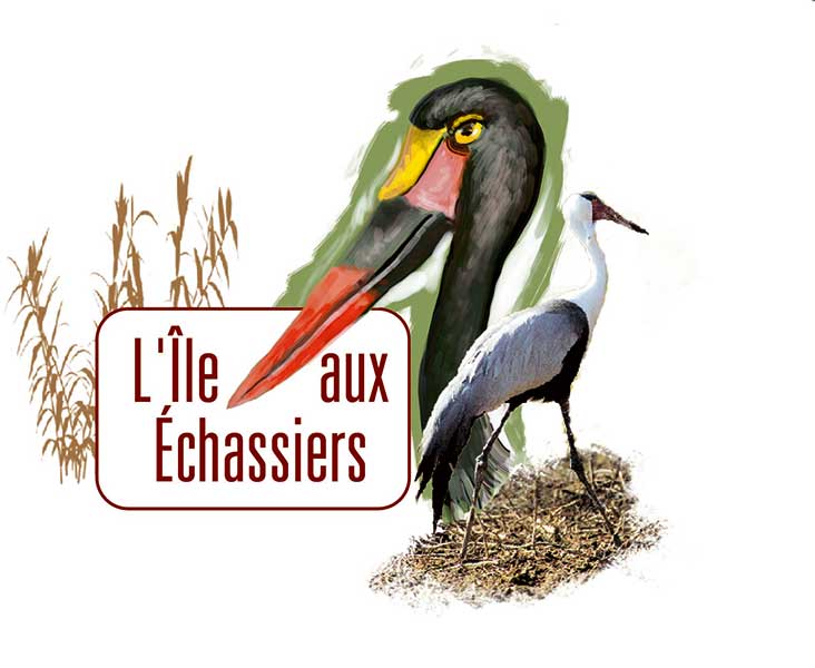 Illustration numérique et montage photo - Annonceur : LE PARC DES OISEAUX