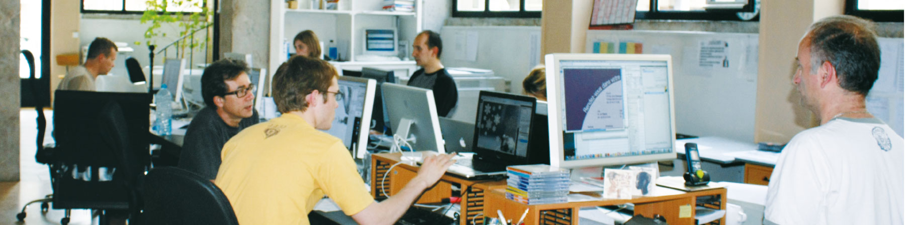 Habillage publicitaire Boiron pour site internet - Client Agence : INDIANA