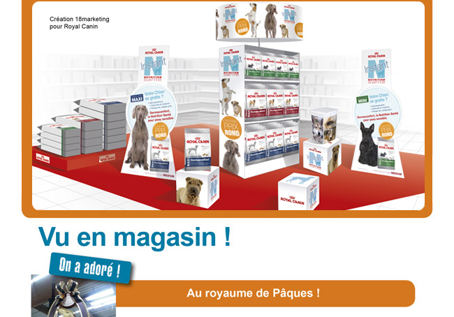 Création 18 Marketing